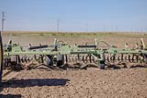 15 Fallow Master Orthman